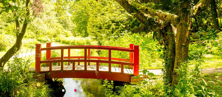 Stunning shot of the red bridge in Bournemouth gardens